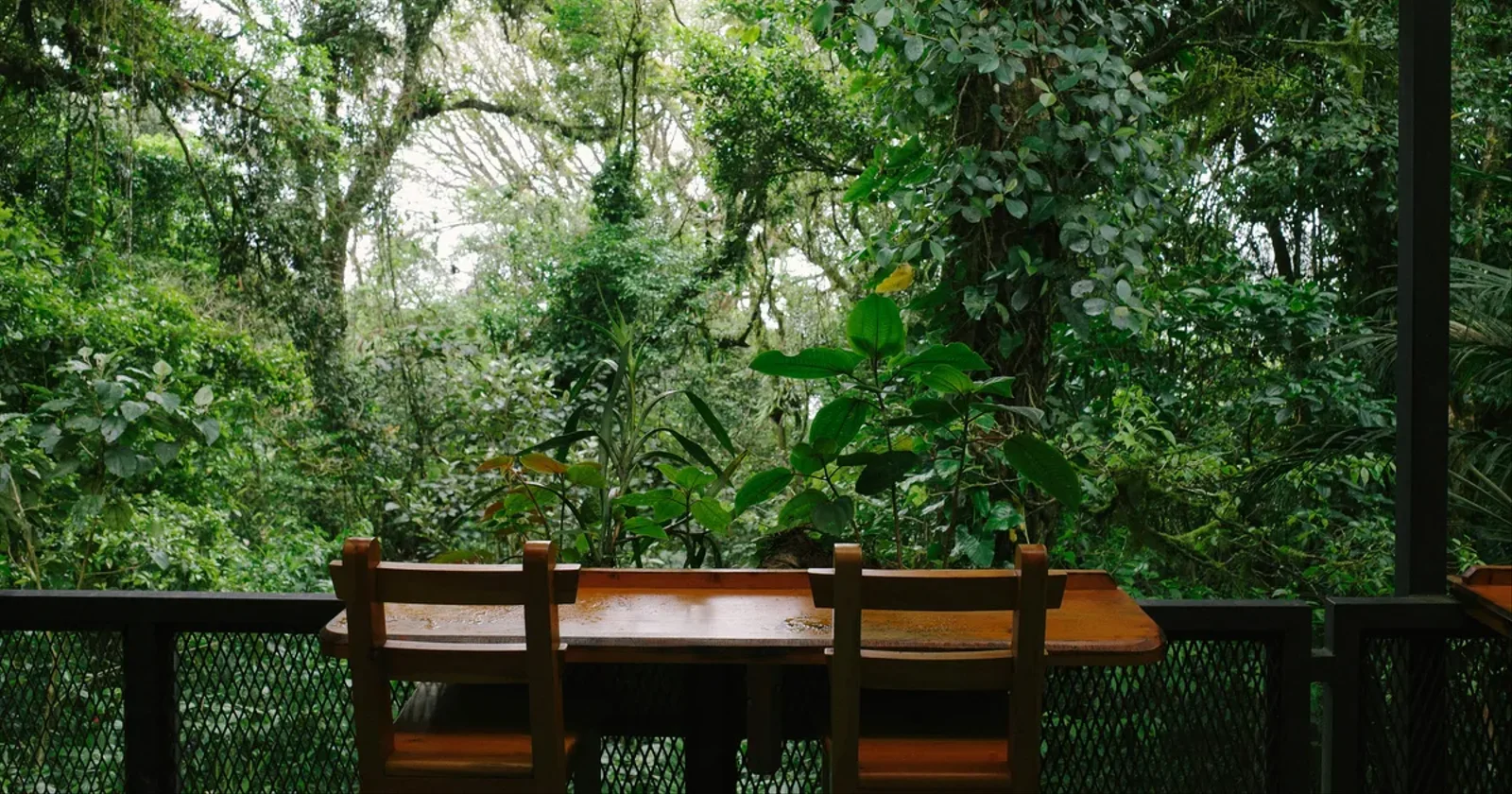 Die Revolution am Schreibtisch